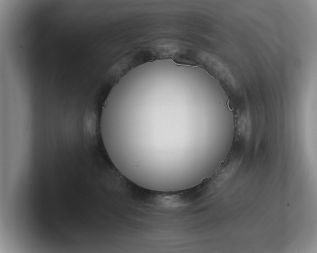 X0000102470283200808151435