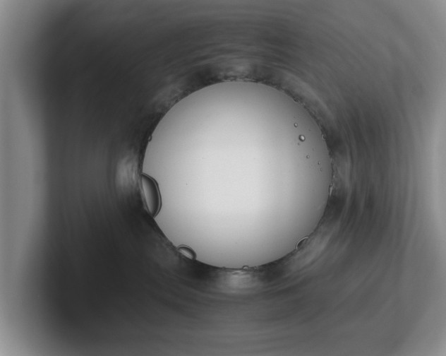 X0000102470287200808151435