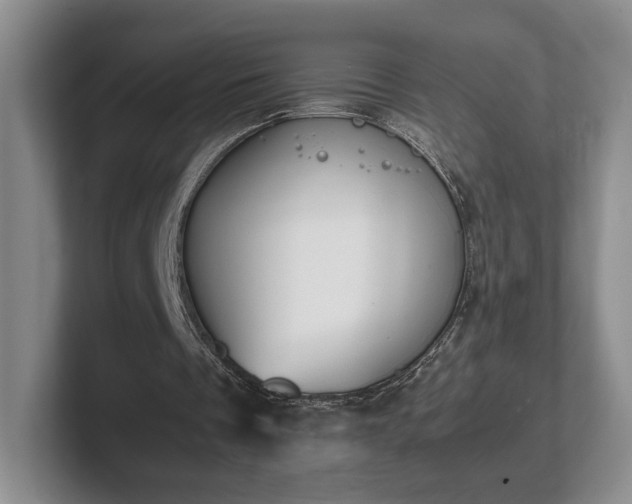 X0000102470289200808151434