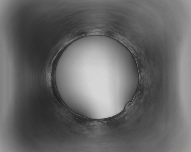 X0000102470290200808151434