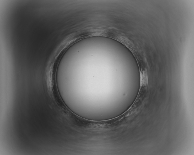 X0000102470291200808151434