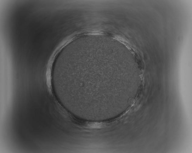 X0000102470293200808151434