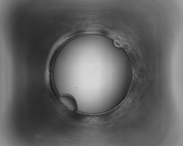 X0000102470294200808151434