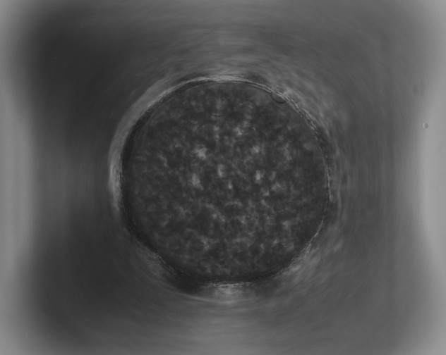 X0000102470295200808151434
