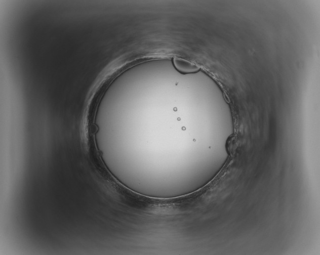 X0000102470296200808151434