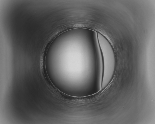 X0000102470297200808151434