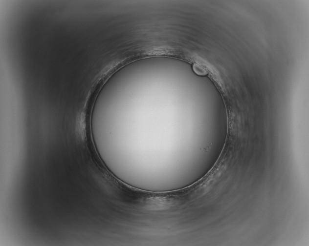 X0000102470298200808151434