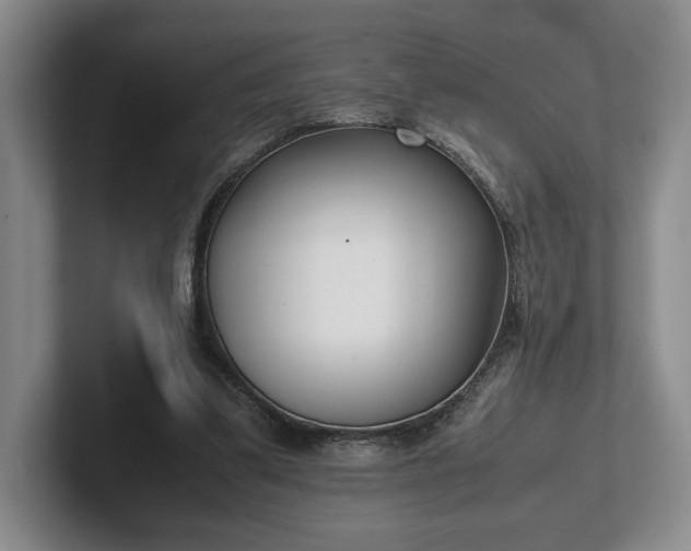 X0000102470299200808151434