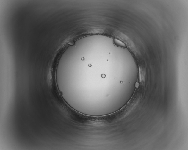 X0000102470300200808151434