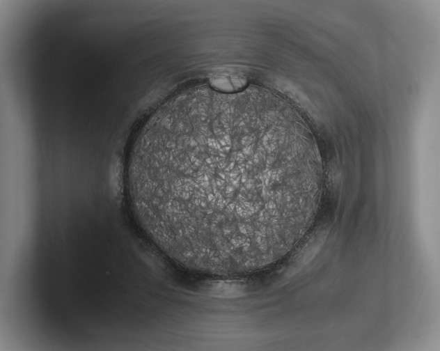 X0000102470303200808151434