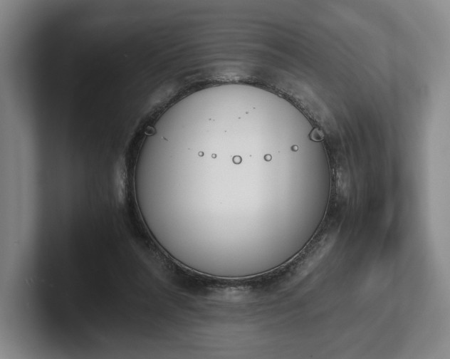 X0000102470304200808151434