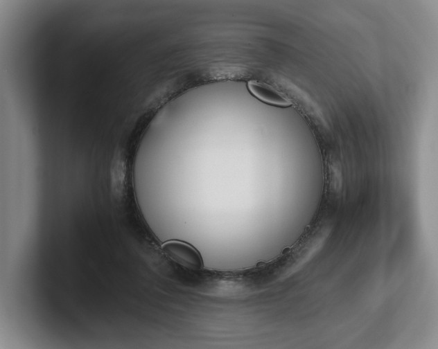 X0000102470308200808151434