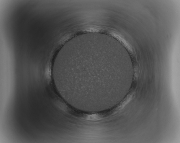 X0000102470309200808151434