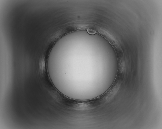 X0000102470310200808151434