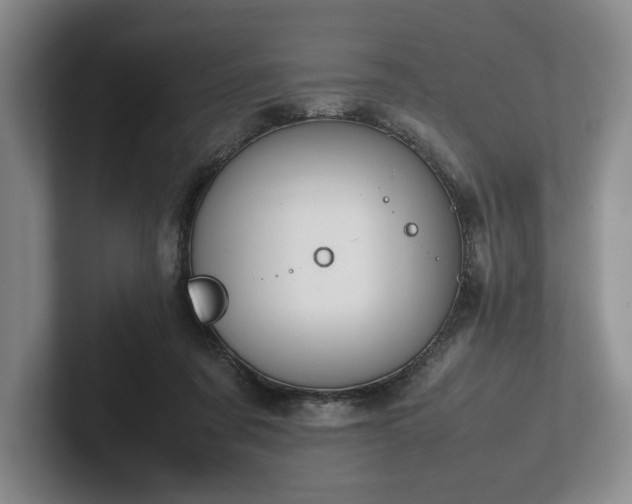 X0000102470311200808151434