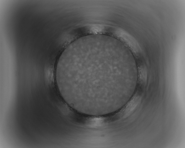 X0000102470313200808151434