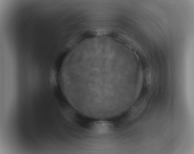X0000102470316200808151434
