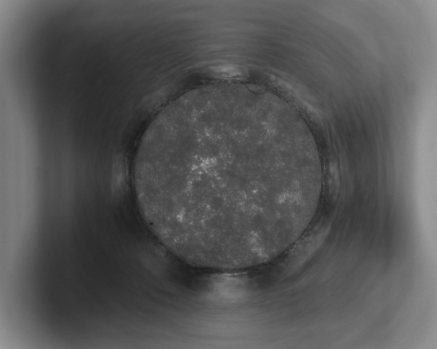 X0000102470320200808151434