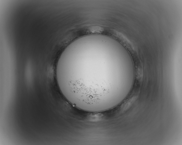 X0000102470321200808151434