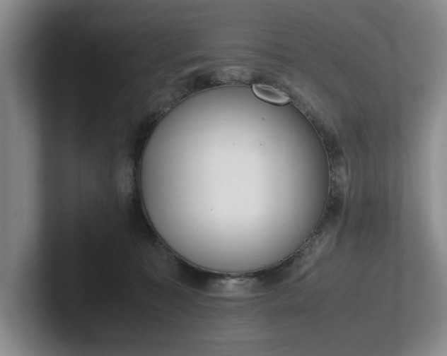X0000102470323200808151434