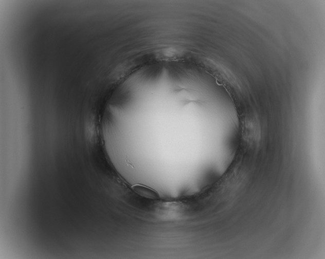 X0000102470324200808151434