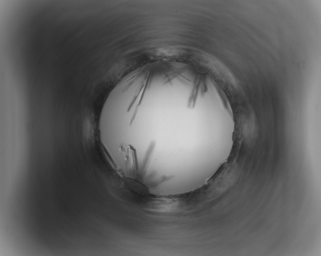 X0000102470328200808151434