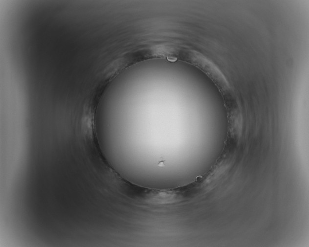X0000102470329200808151434