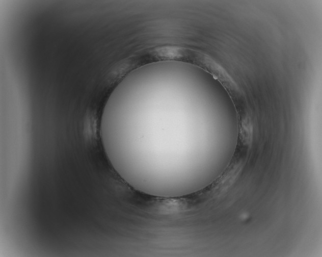 X0000102470330200808151434