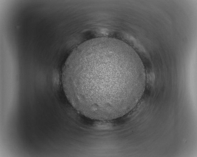 X0000102470331200808151434