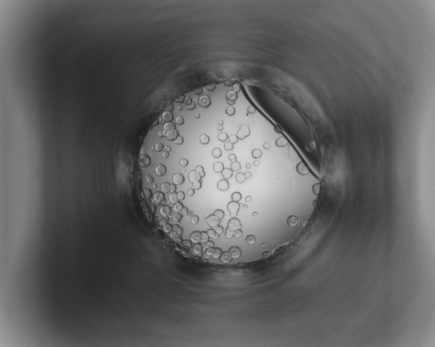 X0000102470332200808151434