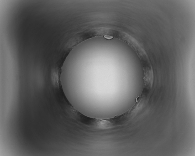 X0000102470333200808151434
