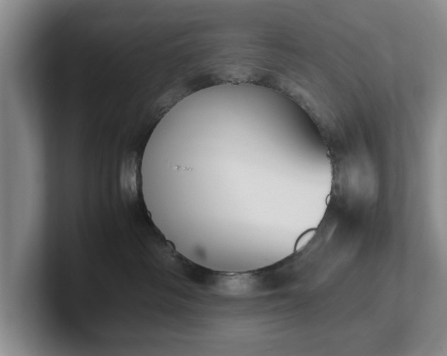 X0000102470334200808151434