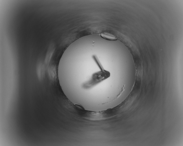 X0000102470335200808151434
