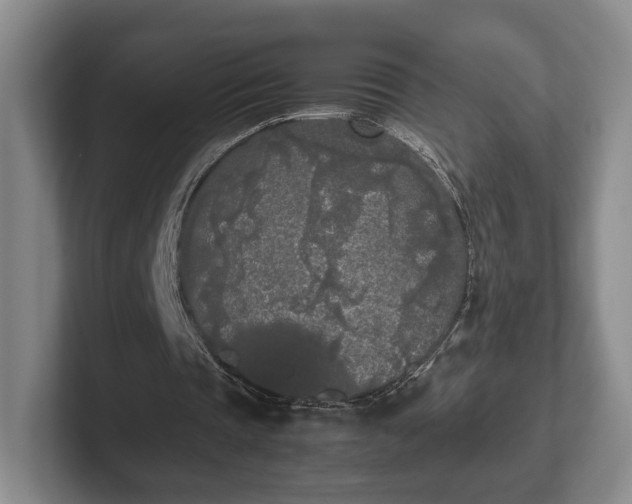 X0000102470337200808151433