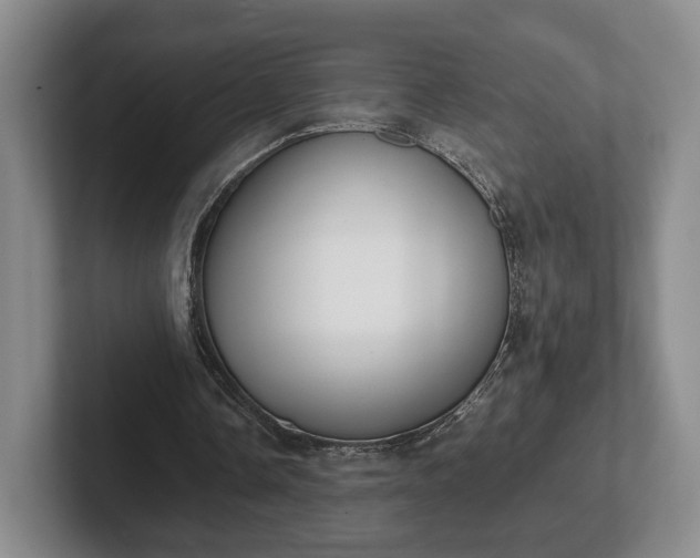 X0000102470338200808151433