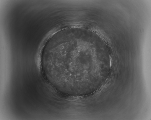 X0000102470339200808151433