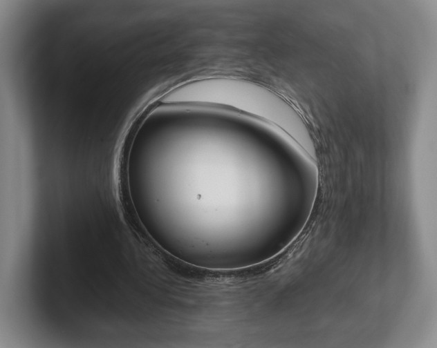 X0000102470340200808151433