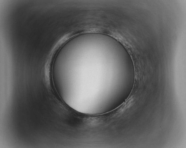 X0000102470341200808151433