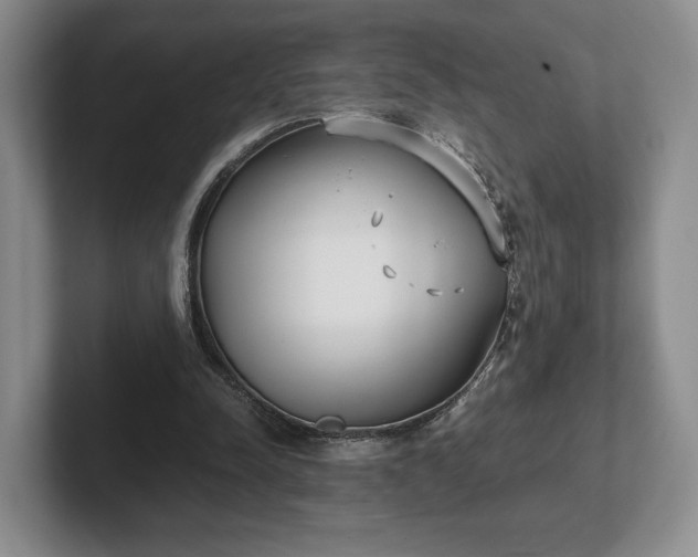 X0000102470342200808151433