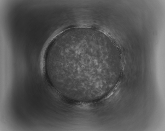 X0000102470343200808151433