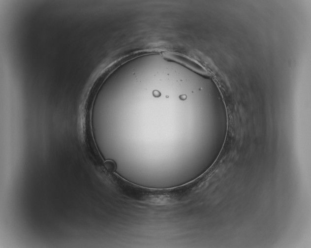 X0000102470344200808151433