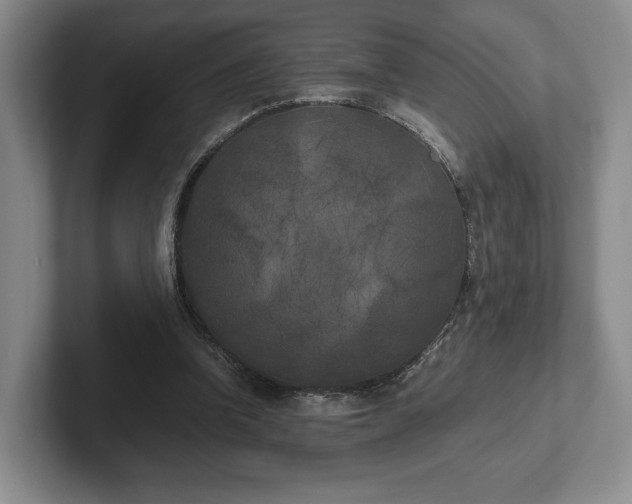 X0000102470346200808151433