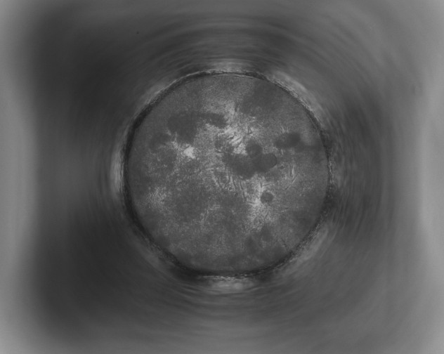 X0000102470347200808151433