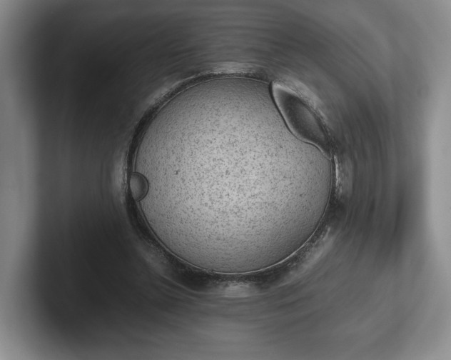 X0000102470348200808151433