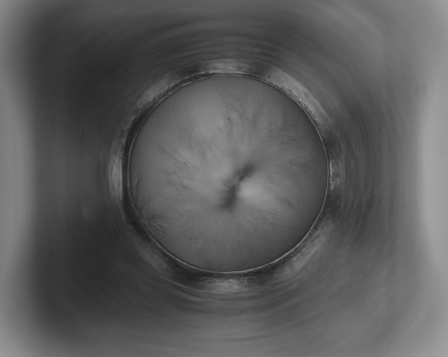 X0000102470349200808151433