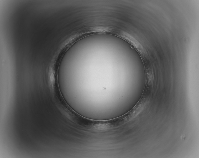 X0000102470350200808151433
