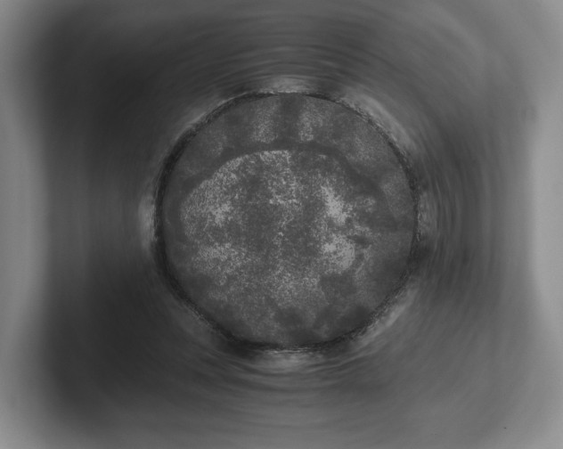 X0000102470351200808151433