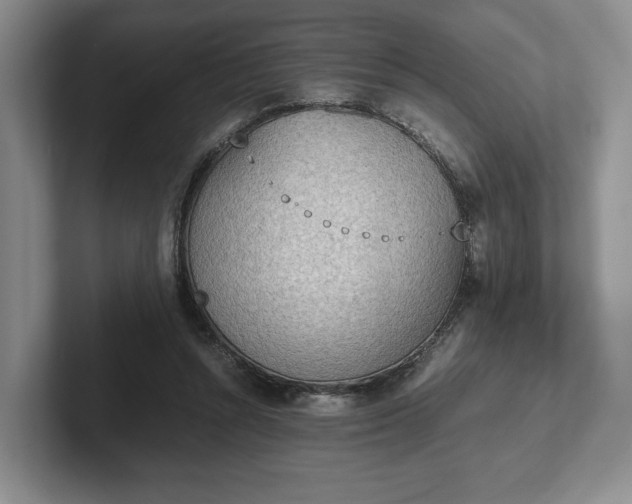 X0000102470352200808151433