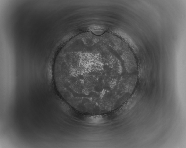 X0000102470353200808151433
