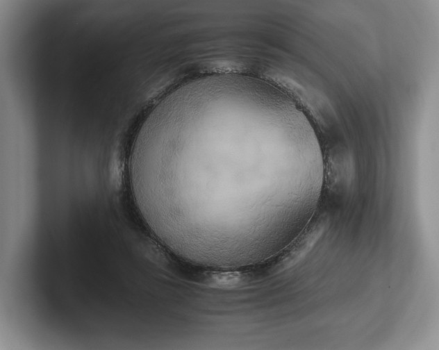 X0000102470355200808151433